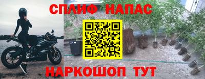 прущие крисы Изобильный