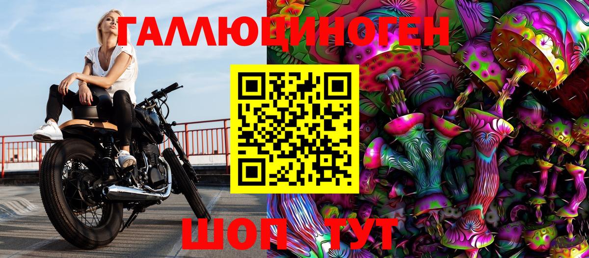 Псилоцибиновые грибы Psilocybine cubensis Саки