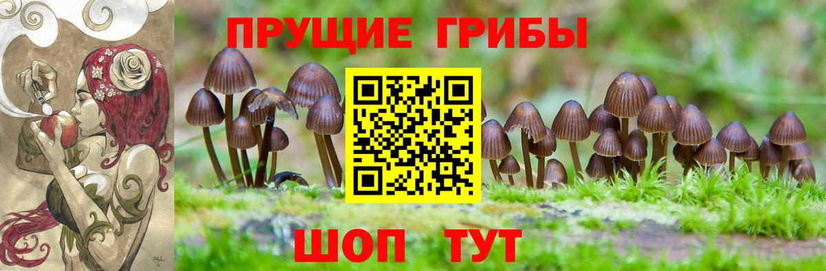 Галлюциногенные грибы мицелий  Вход с VPN  Саки 